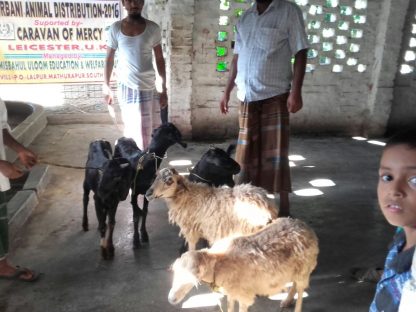 Feed the Poor & Needy - Image 6
