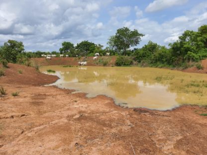Ghana - Image 3