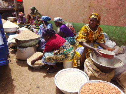 Self Supporting Project: The Gambia