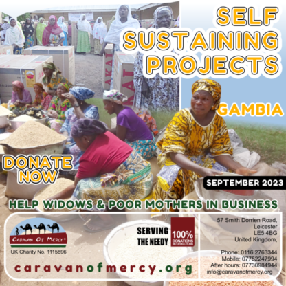 Self Sustaining Projects - Image 2